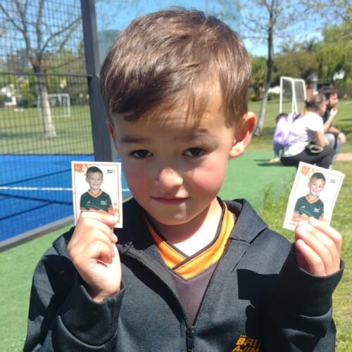 ¡Llegó el álbum de figuritas de Brita y es furor!